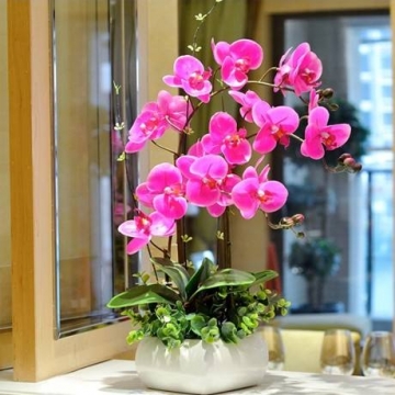 朋友生孩子送什么鲜花好?